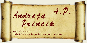 Andreja Princip vizit kartica